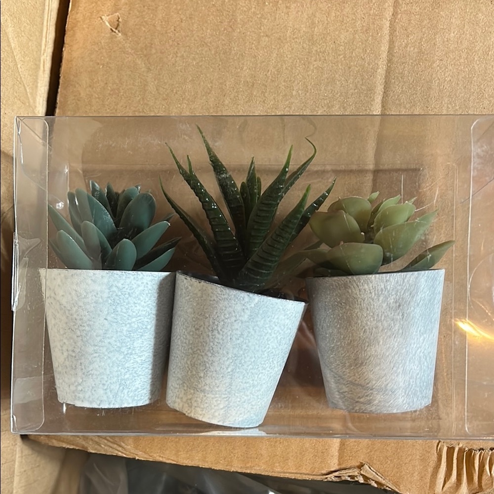 Set of Three Faux Succulents in White Pots